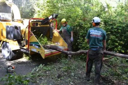 tree services Monticello